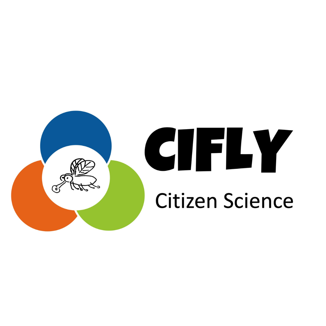 Projekt CIFLY