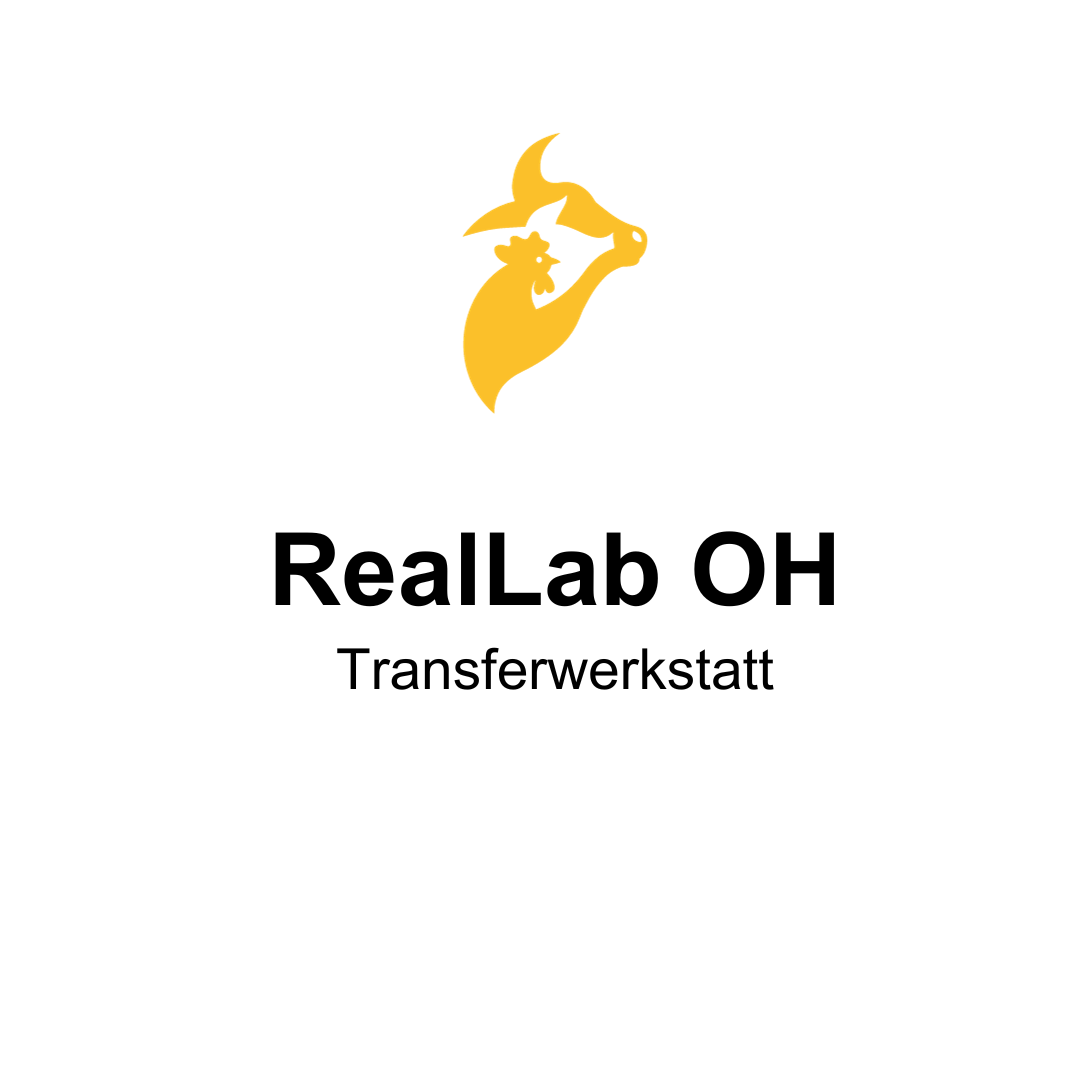 Projekt RealLab OH