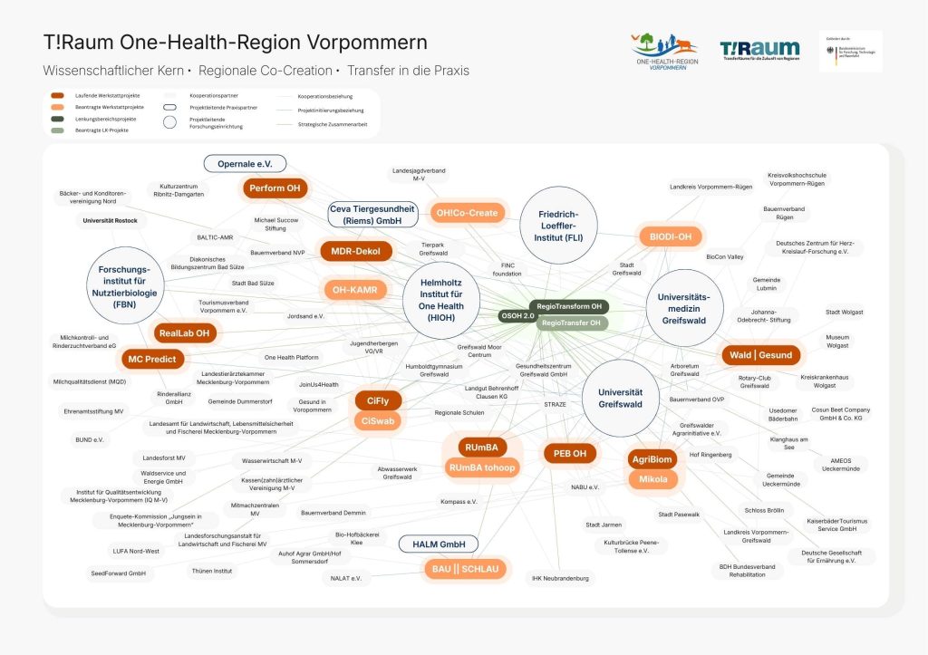 Netzwerkgrafik der One-Health-Region Vorpommern (T!Raum): Darstellung der Zusammenarbeit zwischen Universitäten, Forschungsinstituten, Gesundheits-, Umwelt- und Praxispartnern sowie laufenden und geplanten One-Health-Projekten in der Region