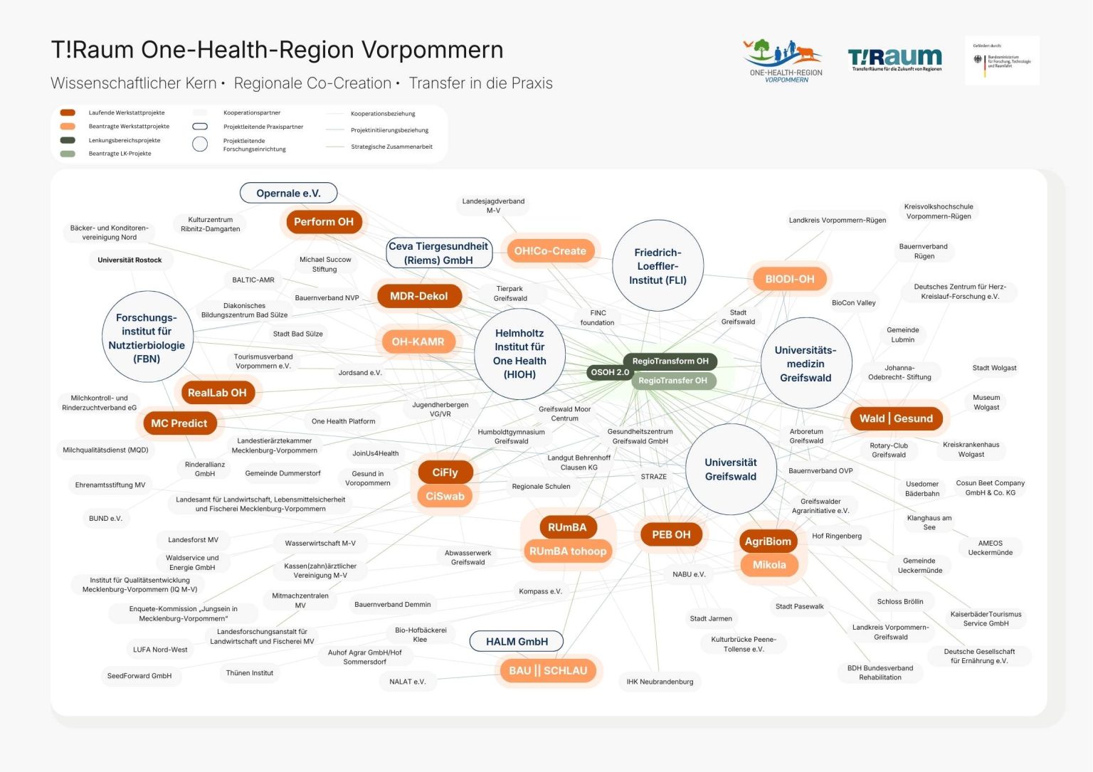 Netzwerkgrafik der One-Health-Region Vorpommern (T!Raum): Darstellung der Zusammenarbeit zwischen Universitäten, Forschungsinstituten, Gesundheits-, Umwelt- und Praxispartnern sowie laufenden und geplanten One-Health-Projekten in der Region