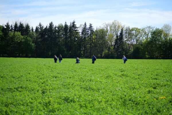 Menschen bewegen sich über eine große grüne Landwirtschaftsfläche in Eldena bei Greifswald. Im Hintergrund begrenzen hohe Bäume den offenen Naturraum unter blauem Himmel. Die Aufnahme zeigt die Fläche, auf der im Projekt „BioDi-OH“ eine artenreiche Blühlandschaft entstehen soll.