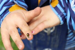 Kind zeigt einen kleinen schwarz-gelben Käfer auf der Fingerspitze während einer Naturerkundung im Grünen.
