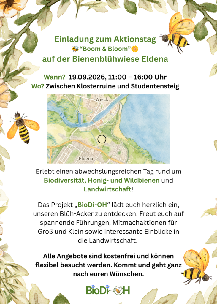 Aktionstag „Boom & Bloom“ auf der Bienenblühwiese Eldena