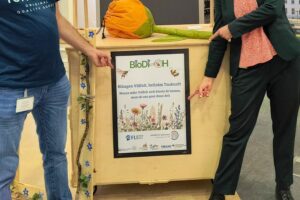 Zwei Personen zeigen auf ein Plakat des Projekts BioDi-OH, das auf Plattdeutsch über die Bedeutung der Biodiversität informiert. Das Plakat ist an einem mit Blumen dekorierten Holzstand angebracht.