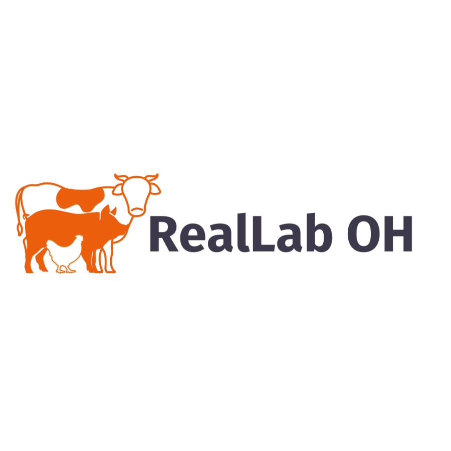 Logo RealLab OH
