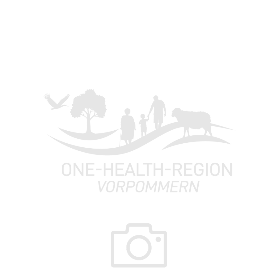 Platzhalter Foto Lenkungskreis