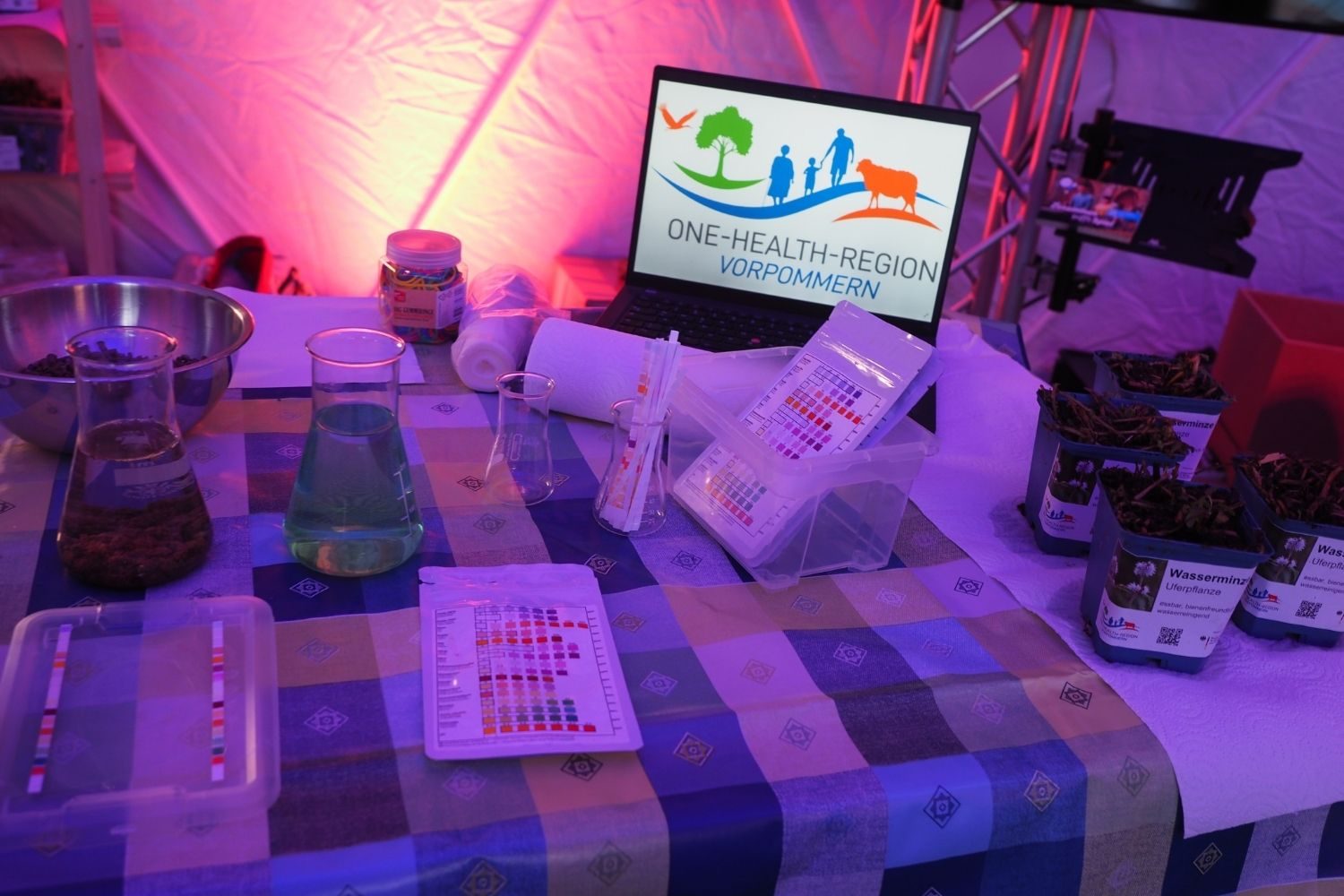 Interaktiver Mitmachstand der One-Health-Region Vorpommern beim Tag der Deutschen Einheit in Schwerin mit Laborgefäßen, Teststreifen, Pflanzen und einem Bildschirm mit dem Logo der One-Health-Region Vorpommern.