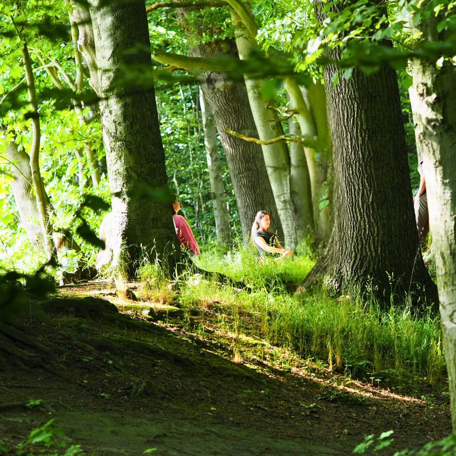 Zwischen Bäumen im Wald stehen Menschen und die Sonne scheint von links auf sie